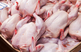 ۱۵۰ تن مرغ در ایام نوروز در ساوه توزیع شد